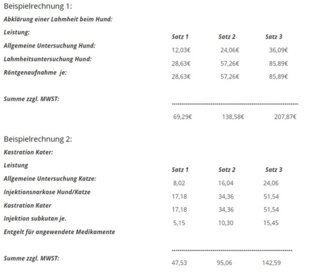 Beispielrechnungen von Tierärztliche Praxis Dr. Benneth O.Onoh DVM