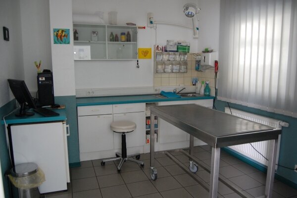 Untersuchungsraum der Tierärztlichen Praxis Dr. Benneth O.Onoh DVM in Gensingen