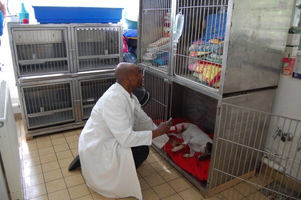 Tierboxen bei Tierarzt Dr. Benneth in Gensingen
