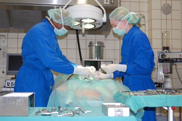Operativer Eingriff in der Tierärztlichen Praxis Dr. Benneth O.Onoh in Gensingen