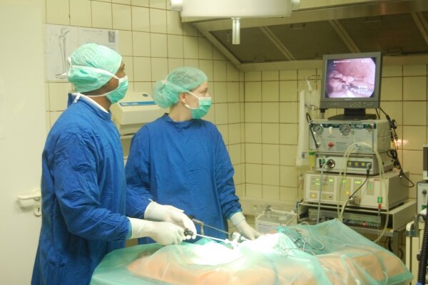 Operativer Eingriff in der Tierärztlichen Praxis Dr. Benneth O.Onoh DVM in Gensingen